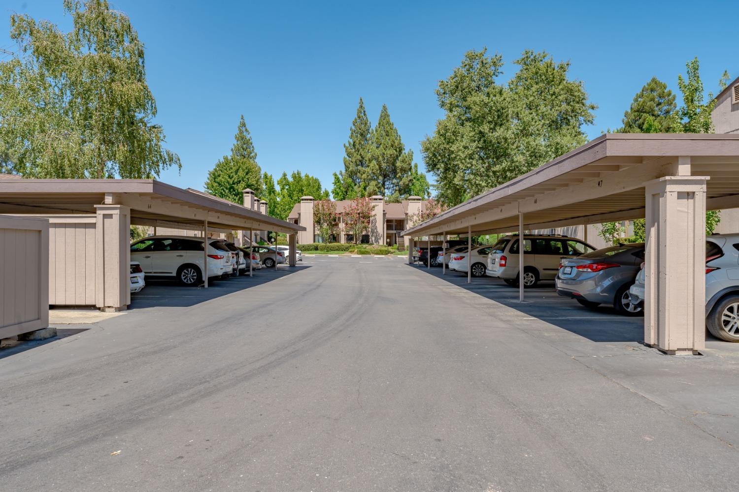5333 Primrose Drive 14B