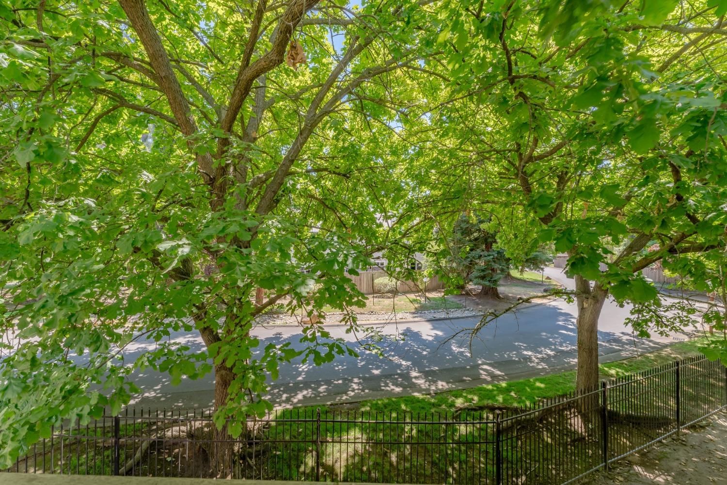 5333 Primrose Drive 14B