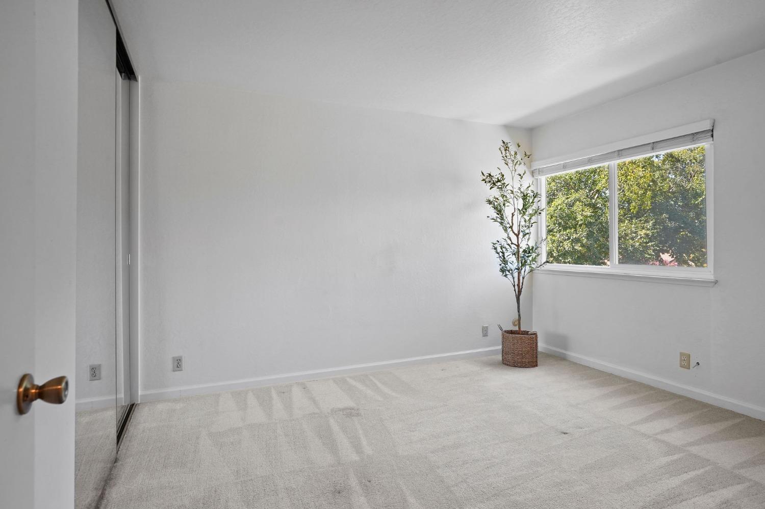 5120 Greenberry Drive