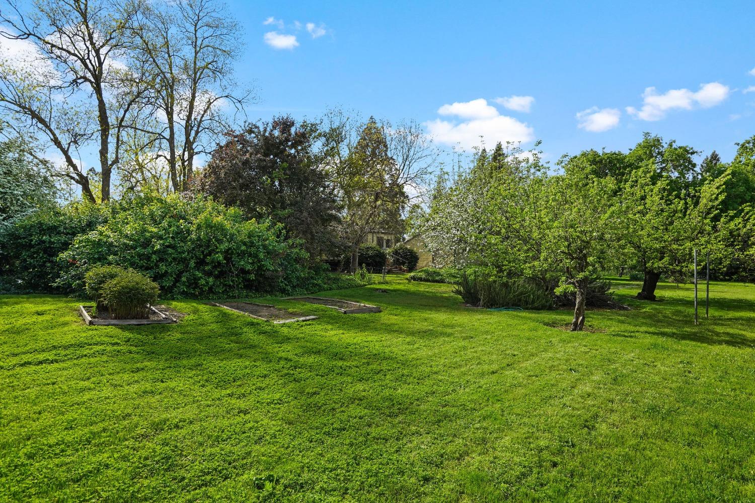 1240 Mariemont Avenue