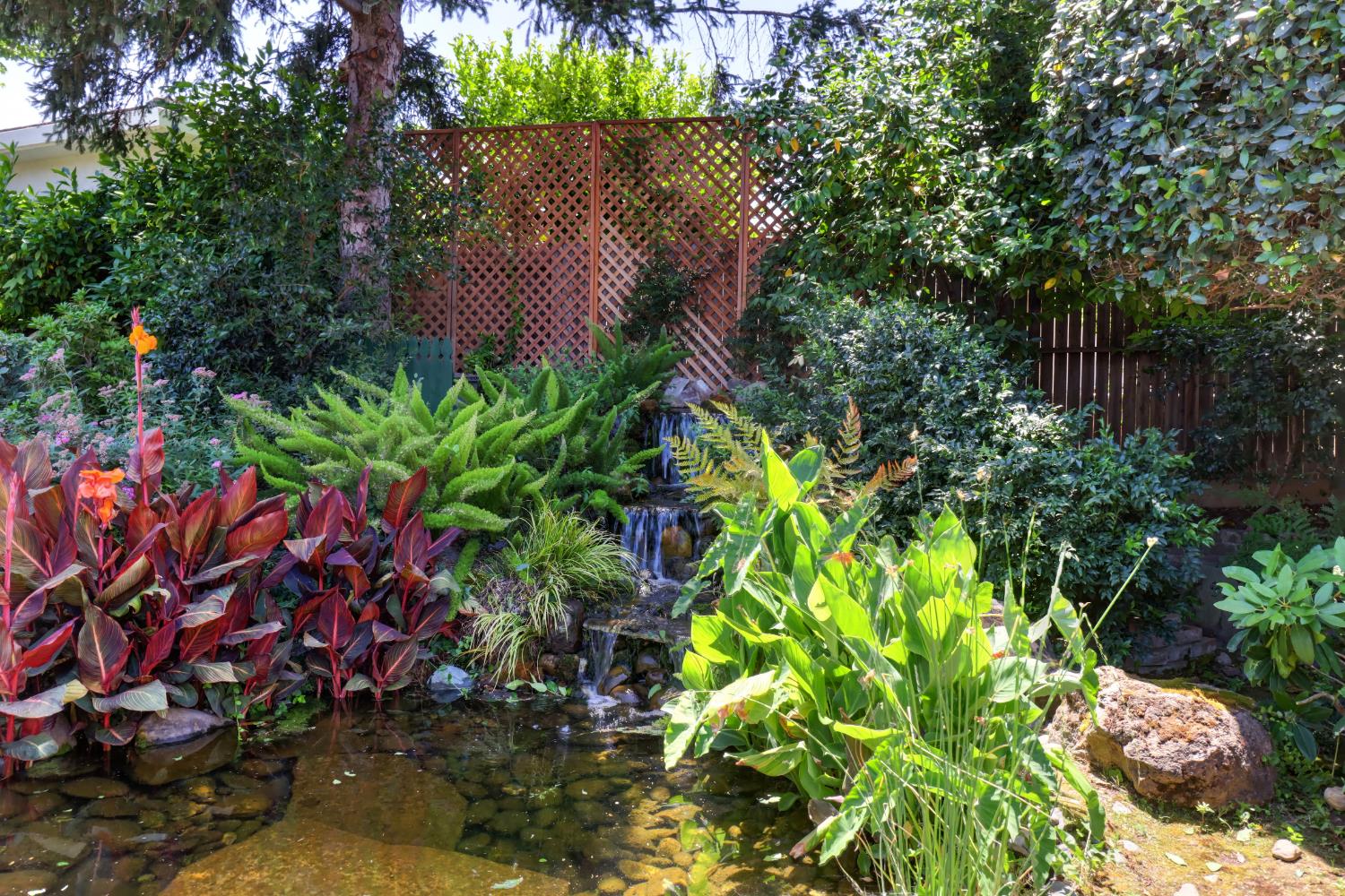 3910 American River Drive