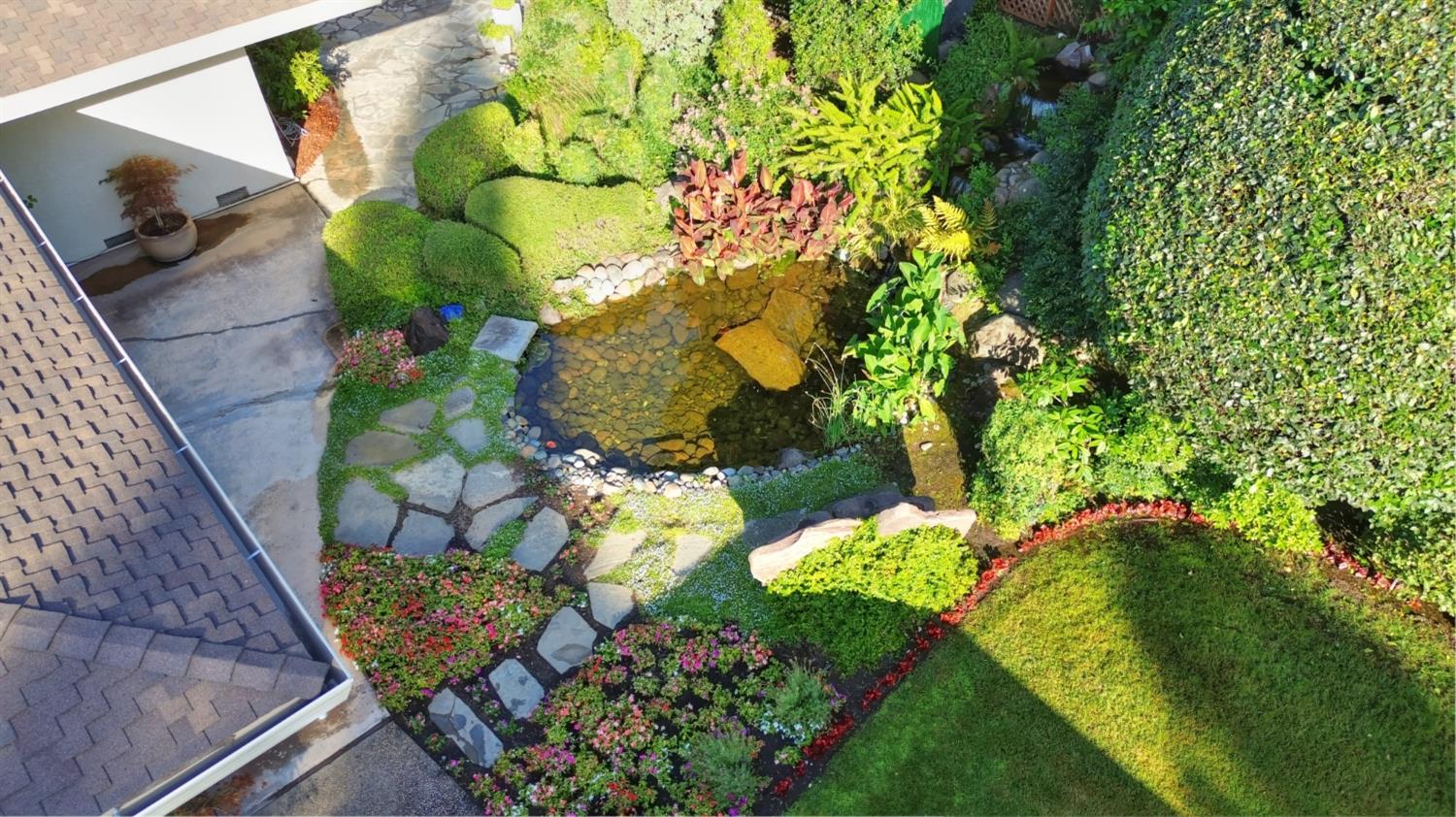 3910 American River Drive