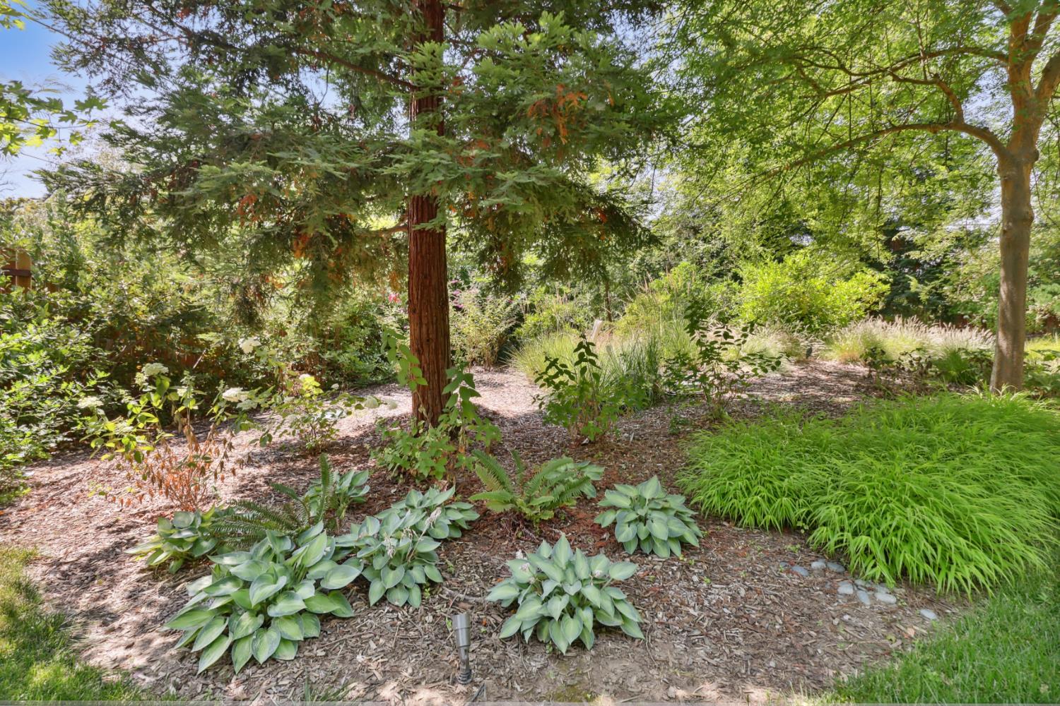 1111 Arroyo Grande Drive