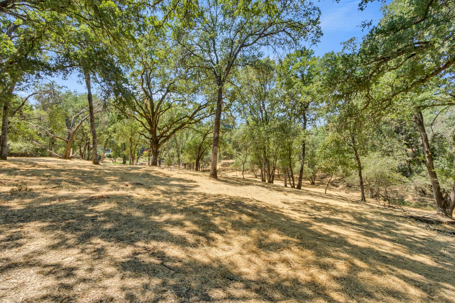 5361 Long Canyon Drive