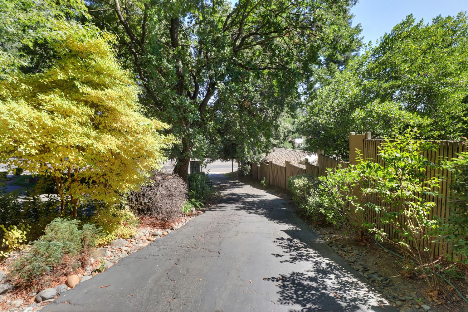 3418 Clemens Way
