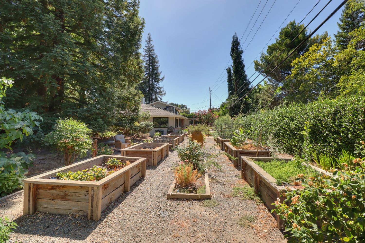 3418 Clemens Way