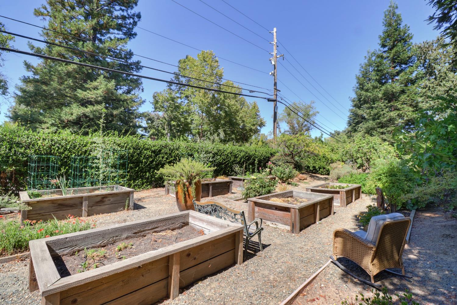 3418 Clemens Way