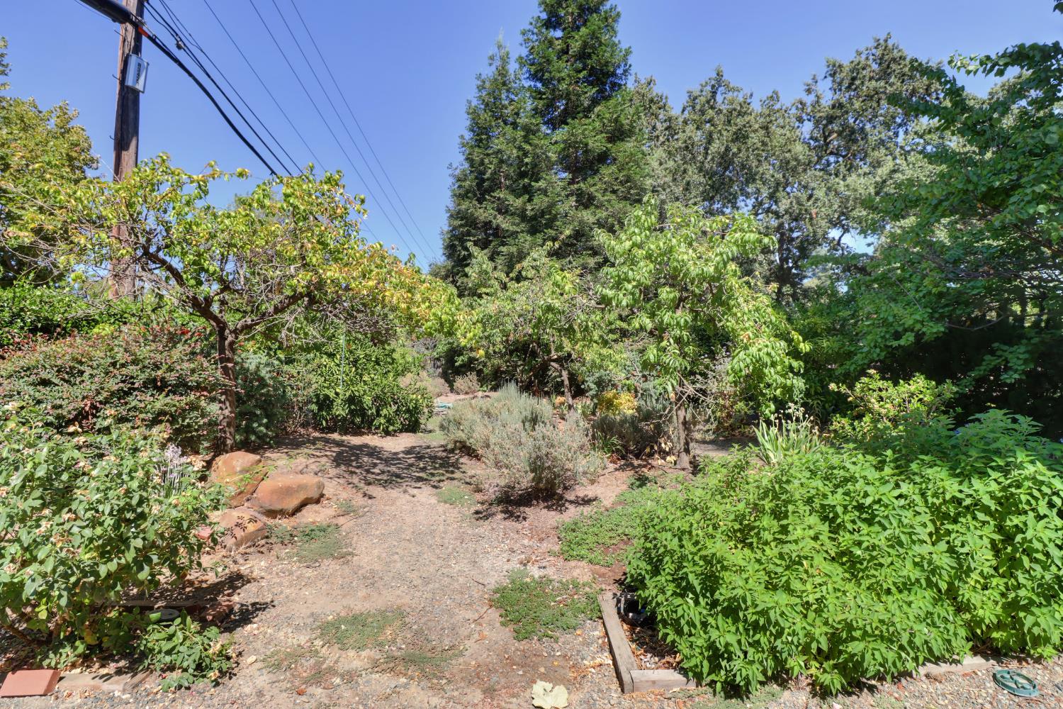 3418 Clemens Way