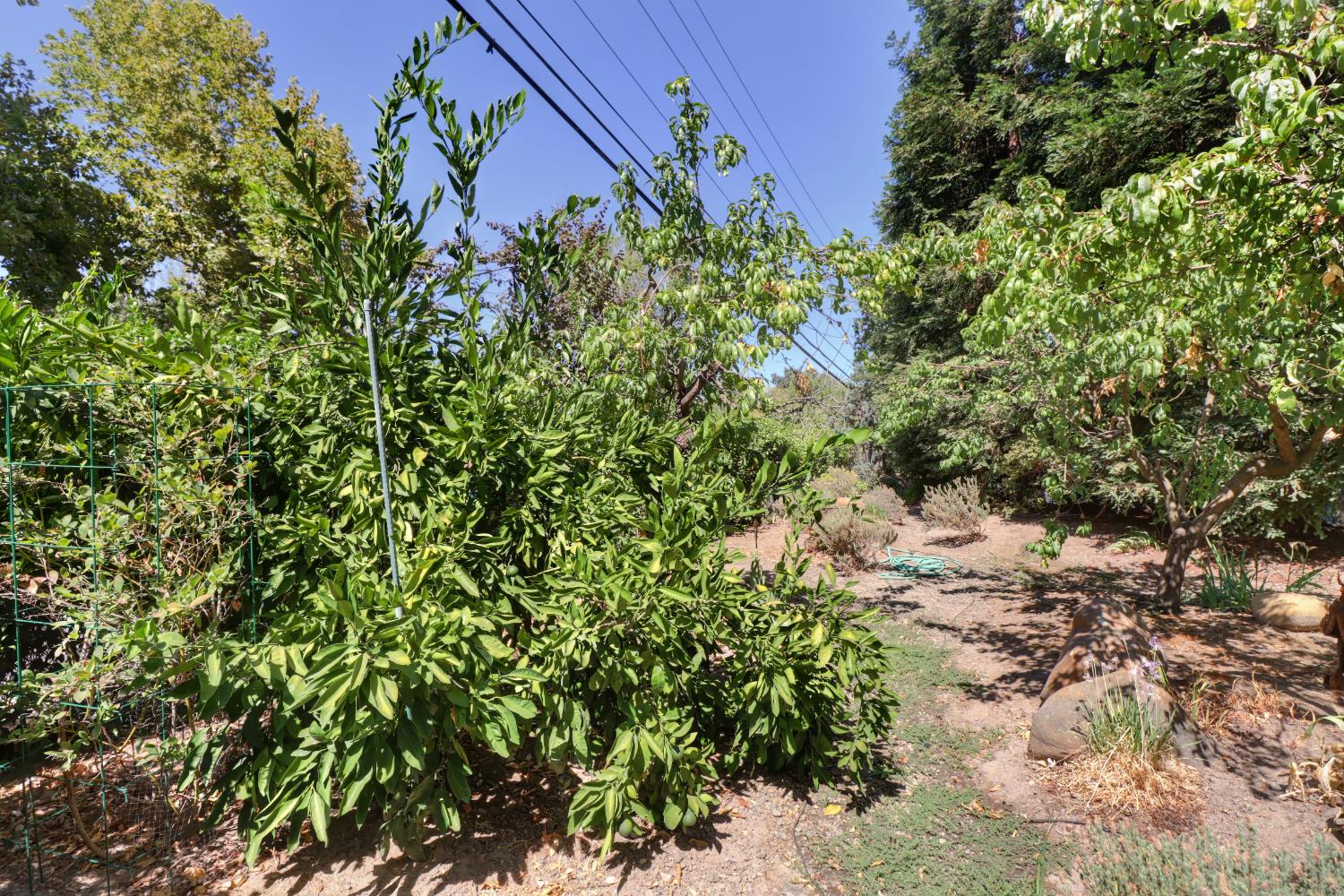 3418 Clemens Way