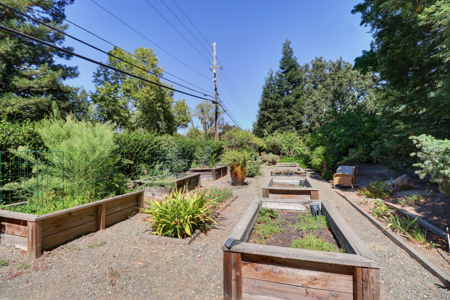3418 Clemens Way