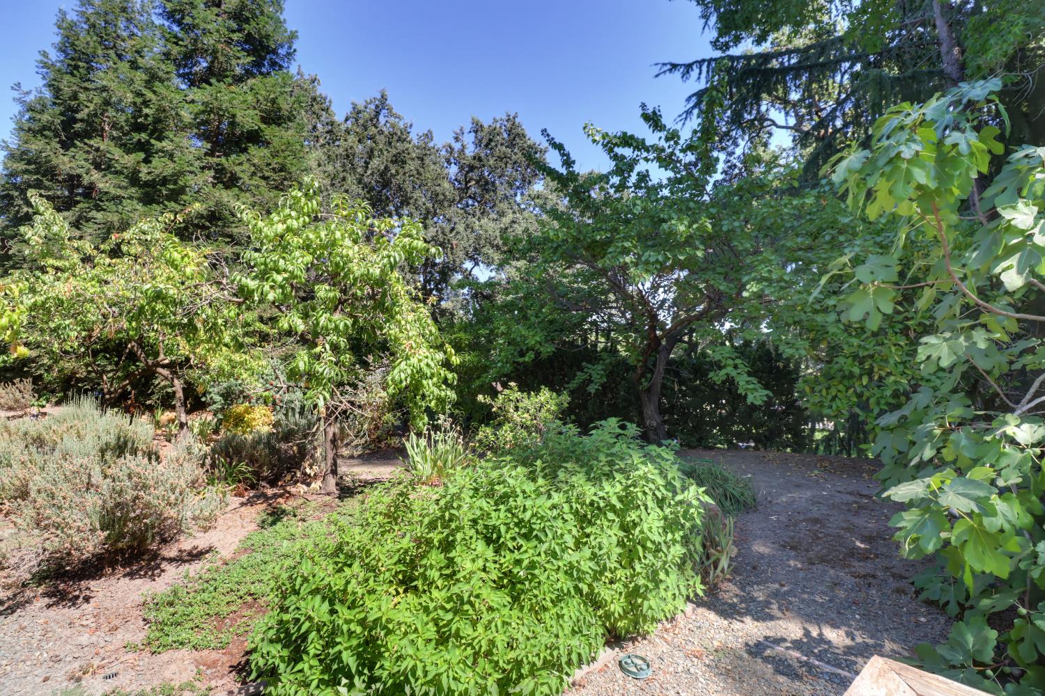3418 Clemens Way