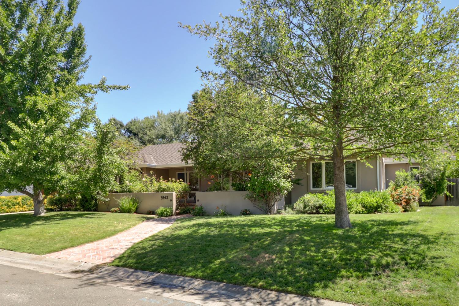 3542 Bodega Court