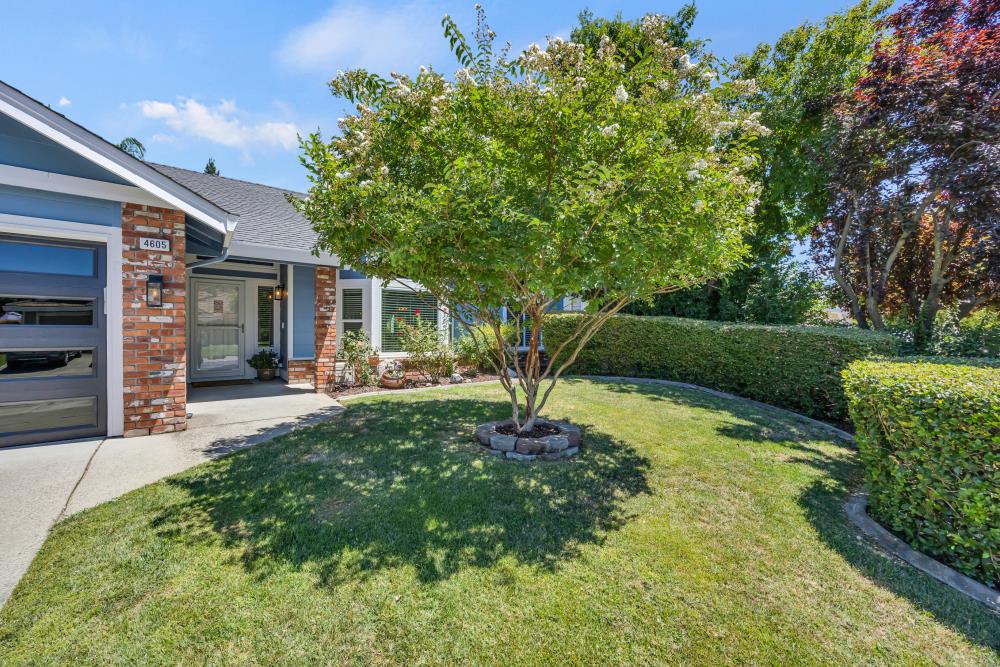4605 Odessa Court