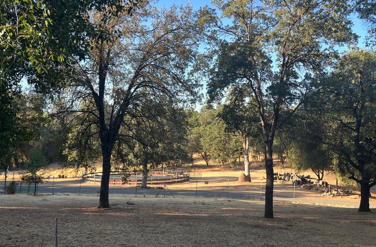 7110 Shinn Ranch Road