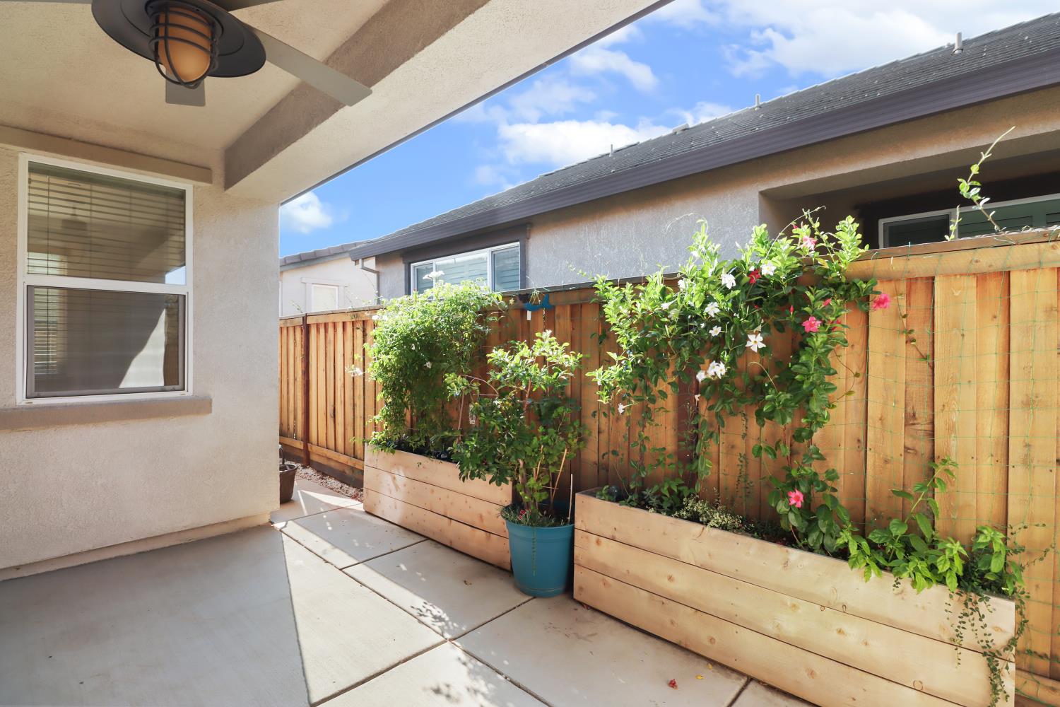 4020 Arco Del Paso Lane