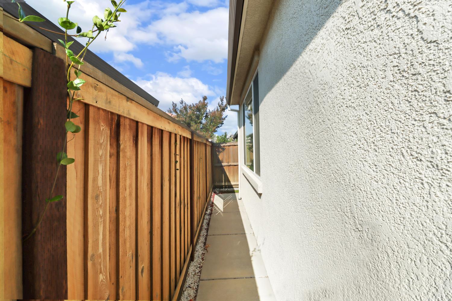 4020 Arco Del Paso Lane