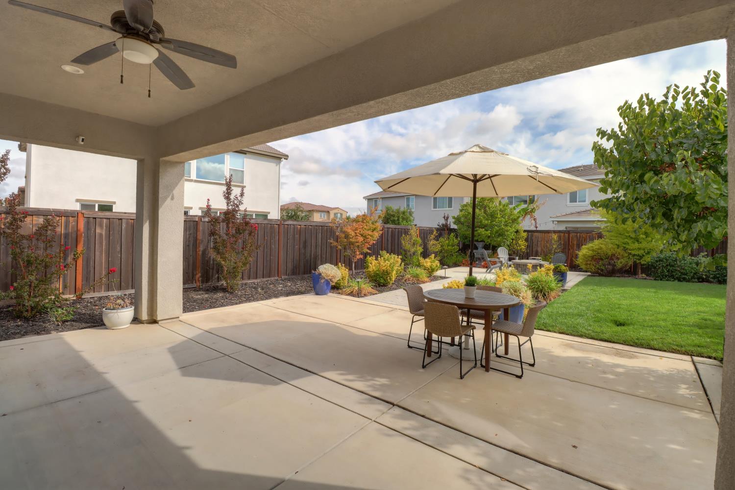 386 Olivadi Way