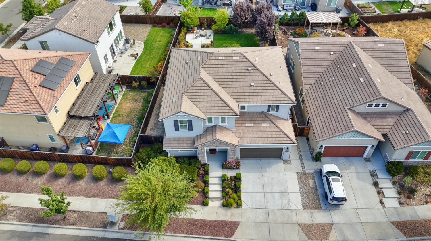 386 Olivadi Way