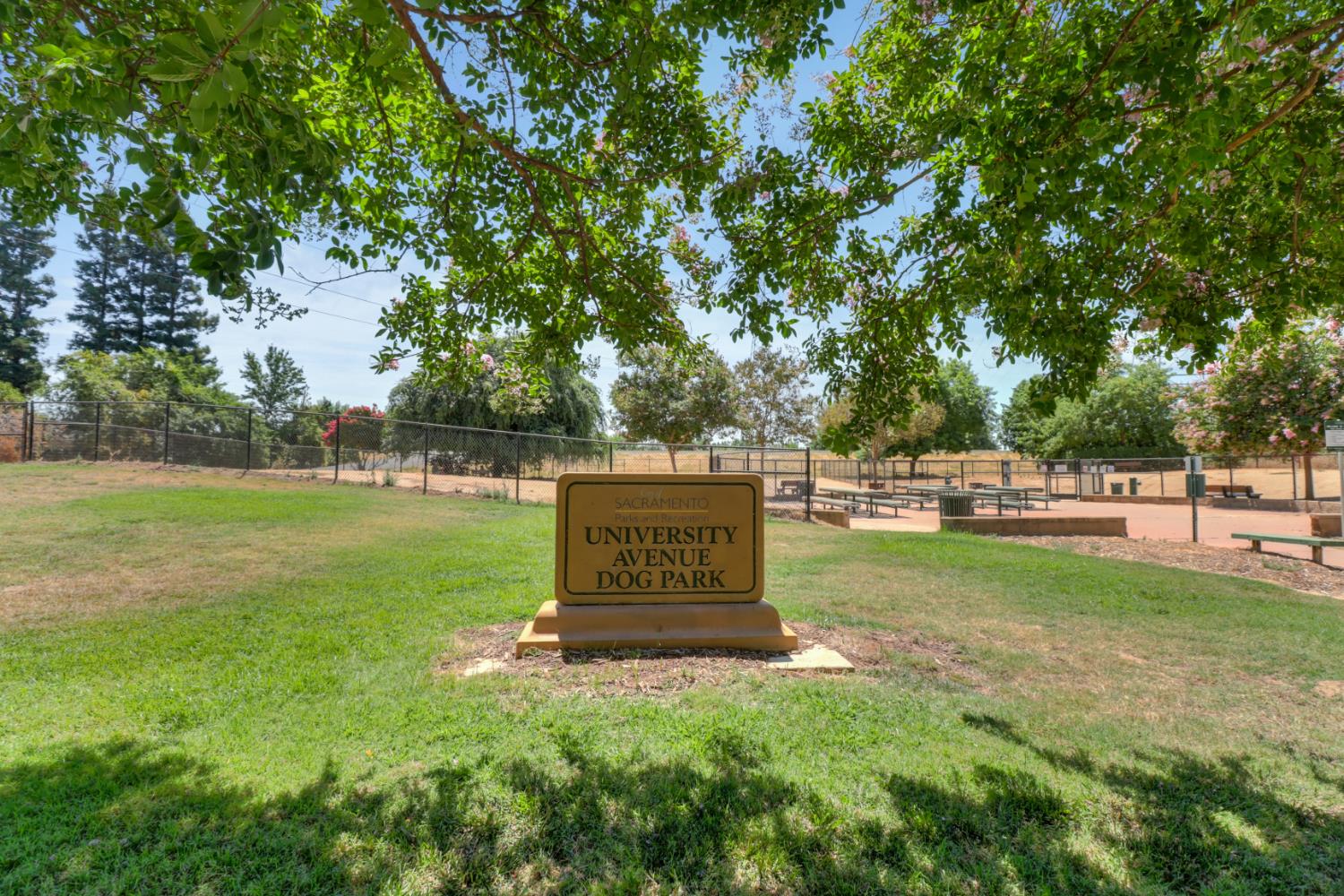 1647 University Avenue