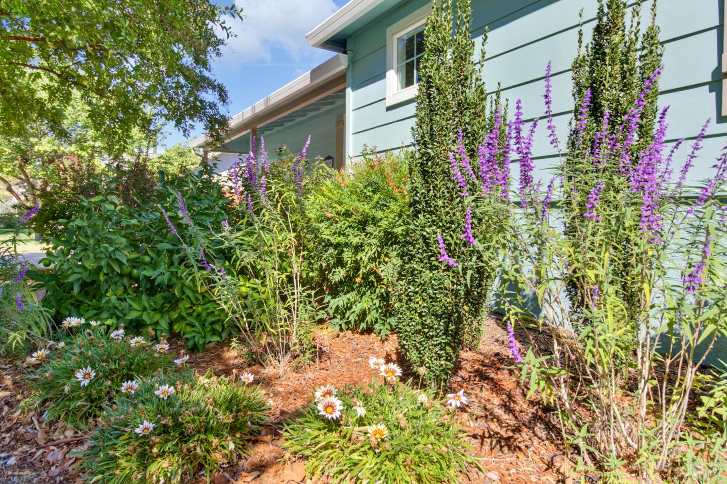 4989 Virginia Way