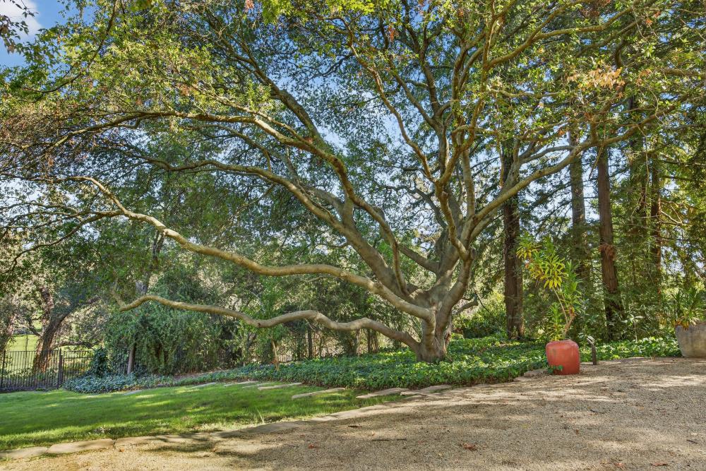 6340 Rio Bonito Drive