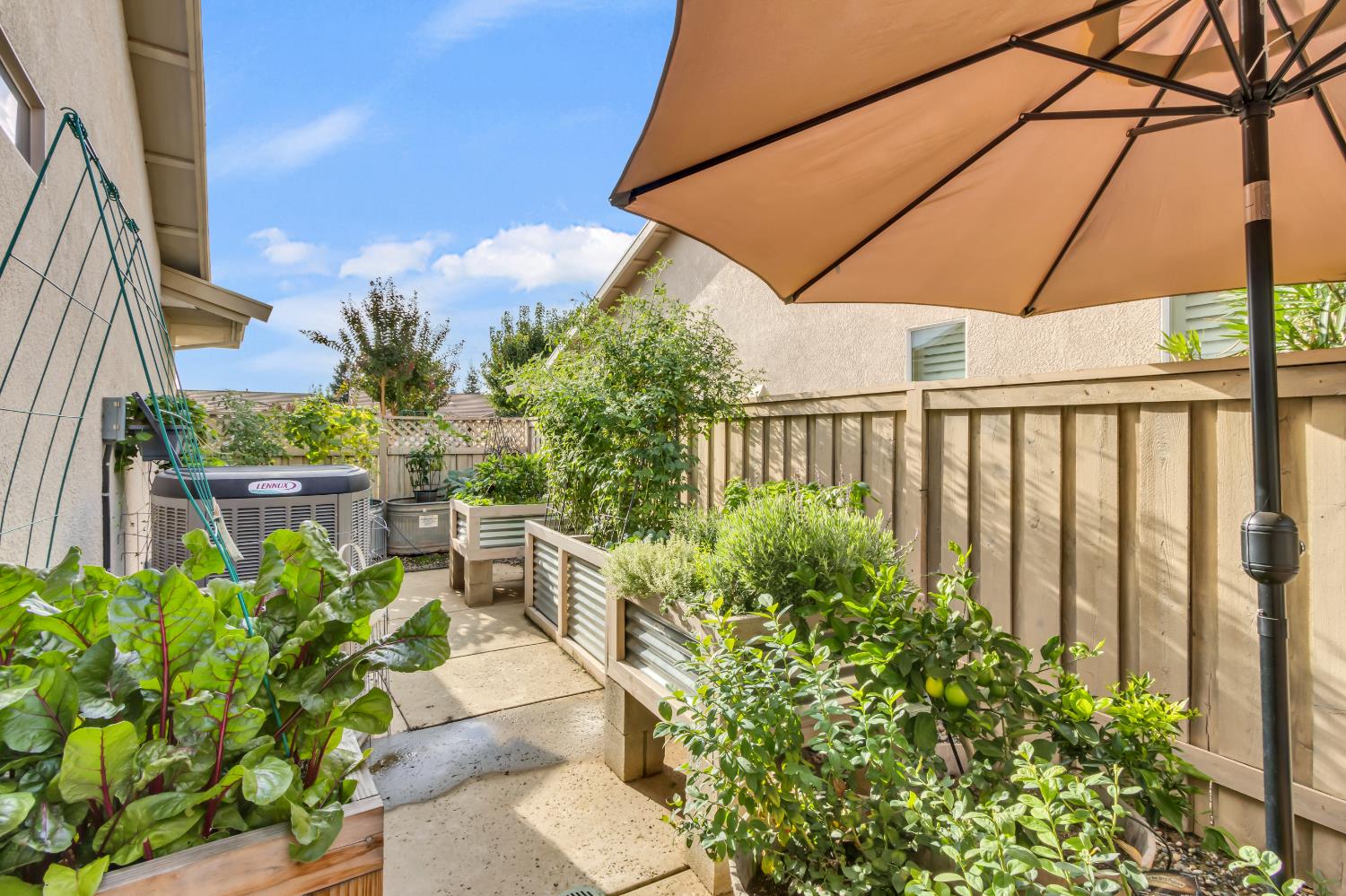 404 Mossy Court