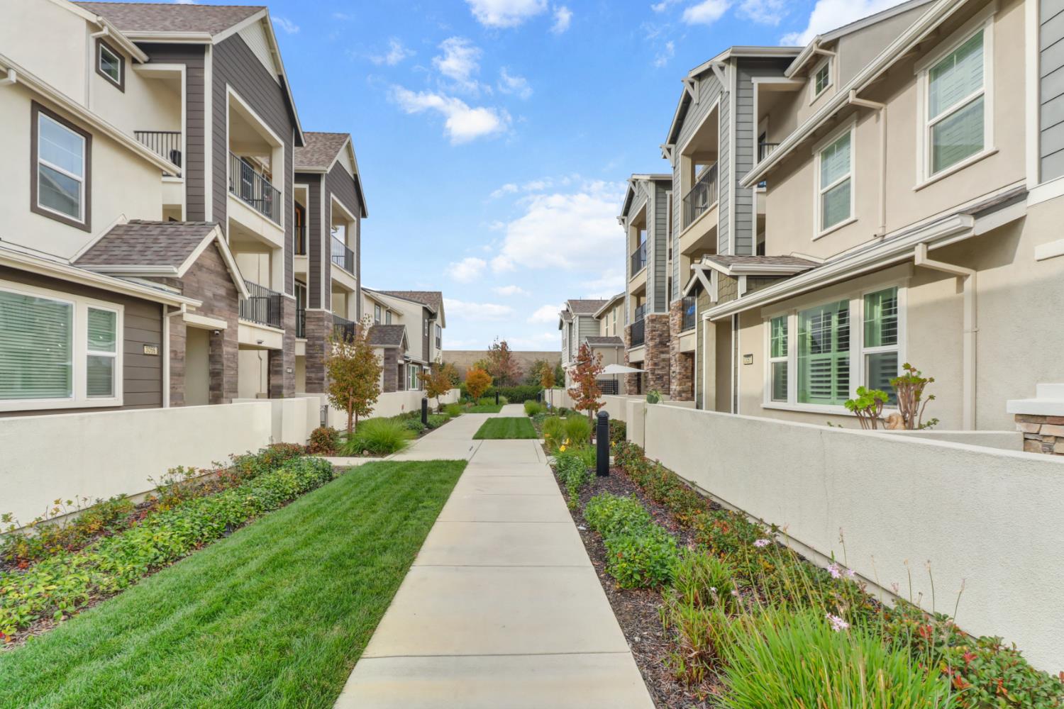 3050 Copper Rose Walk