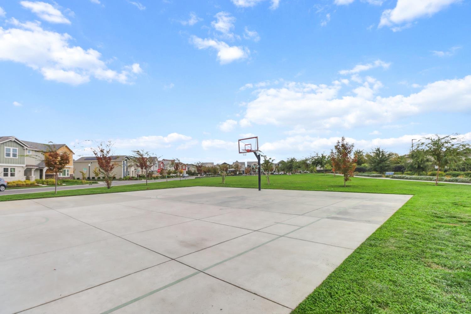 3050 Copper Rose Walk