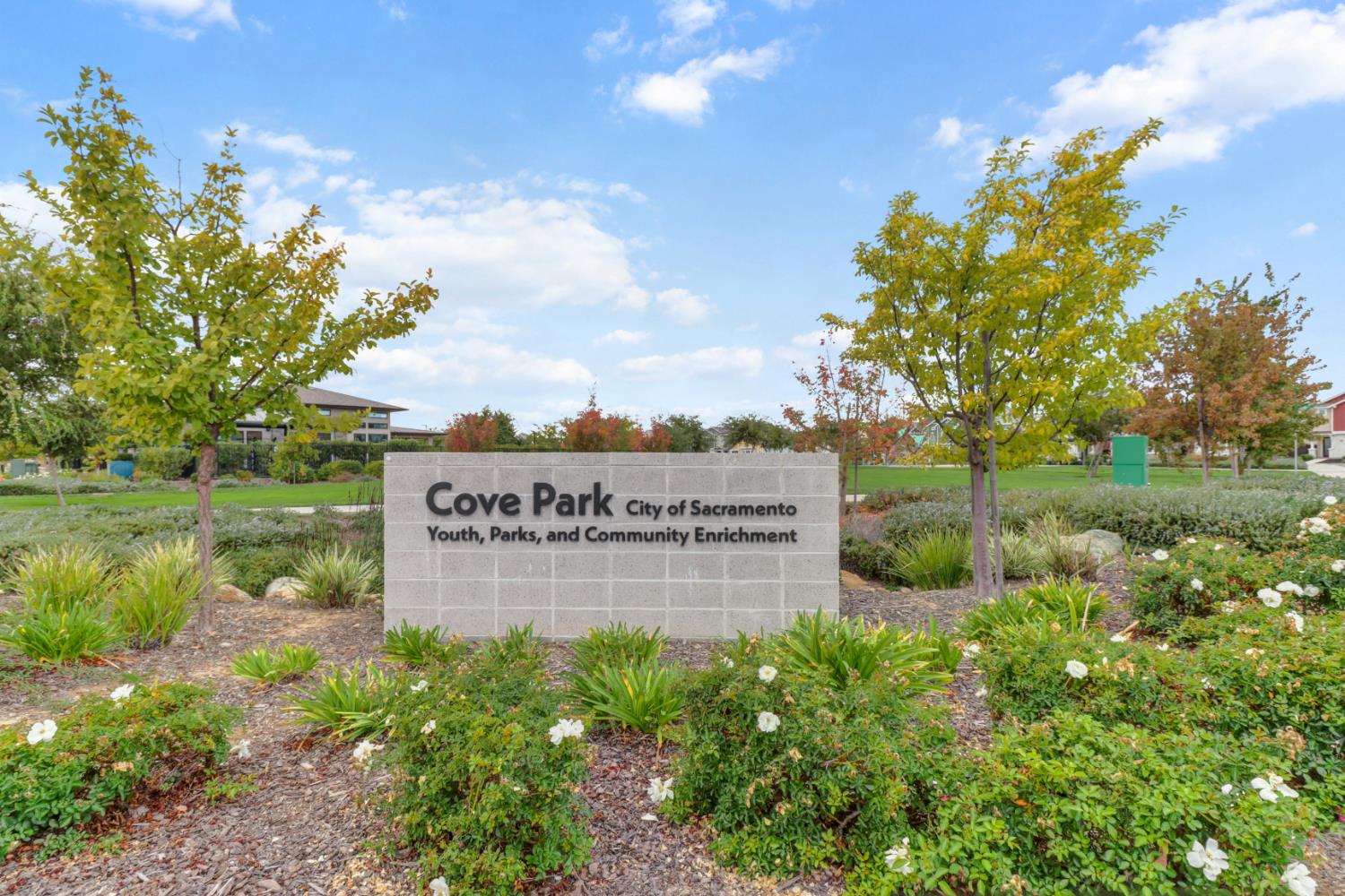 3050 Copper Rose Walk