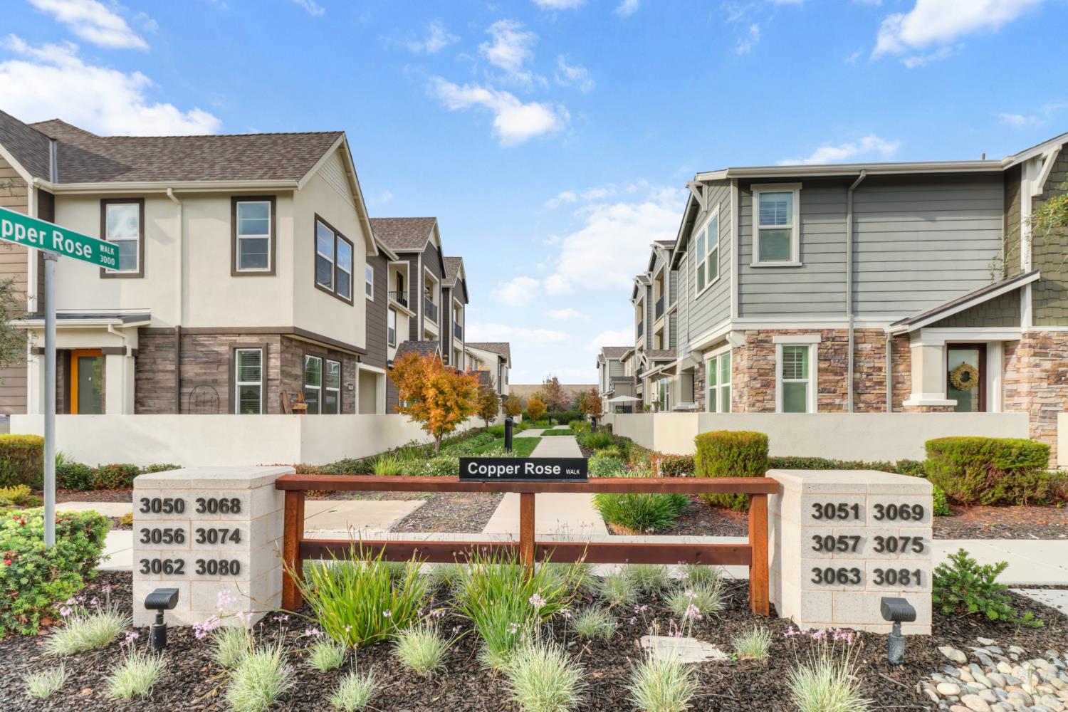 3050 Copper Rose Walk