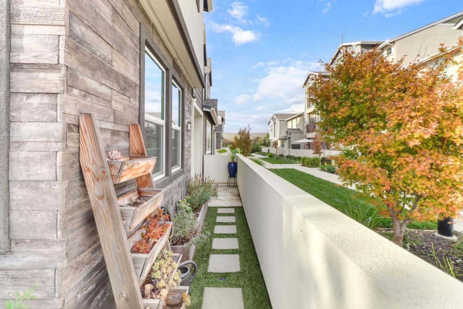 3050 Copper Rose Walk