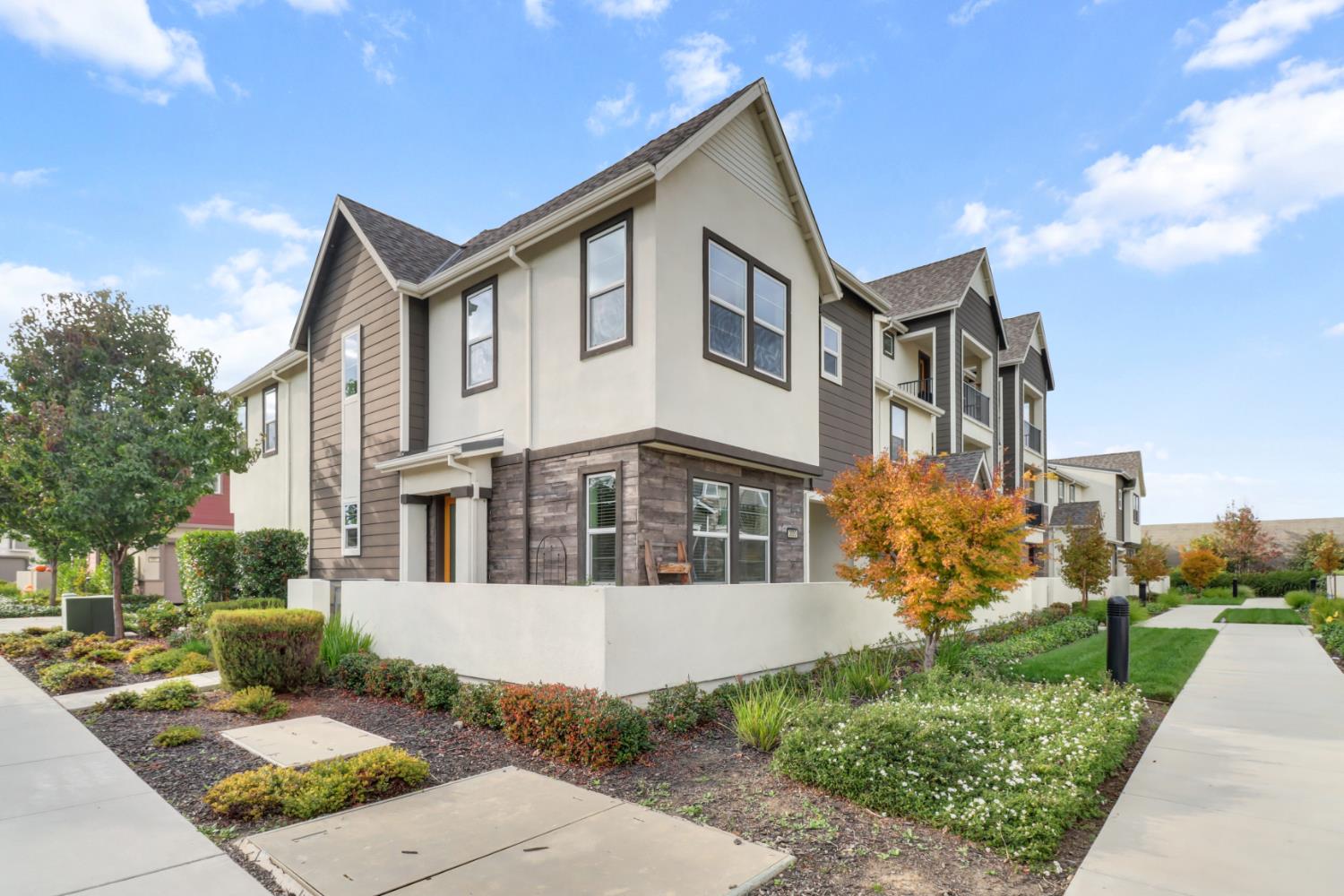 3050 Copper Rose Walk