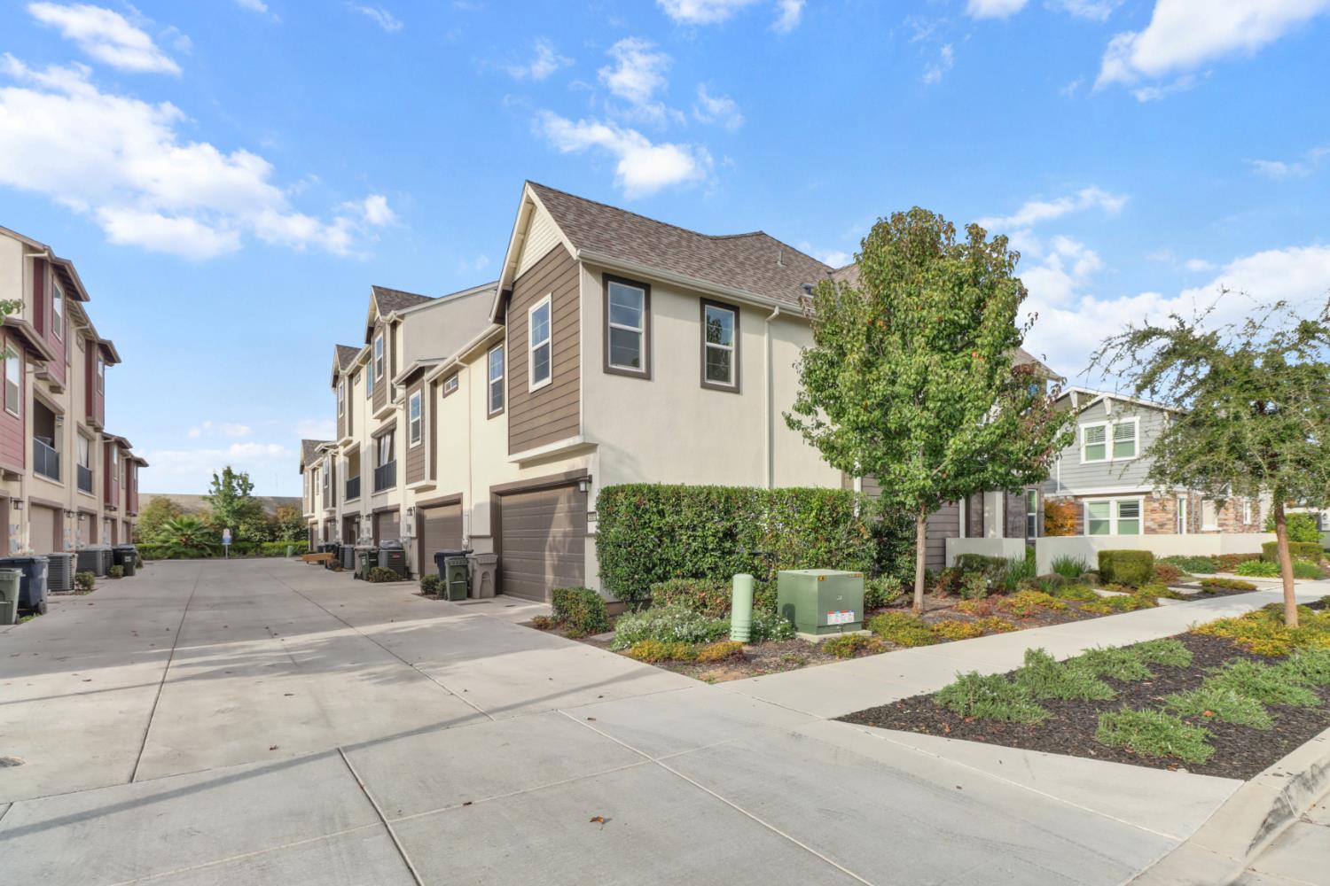 3050 Copper Rose Walk