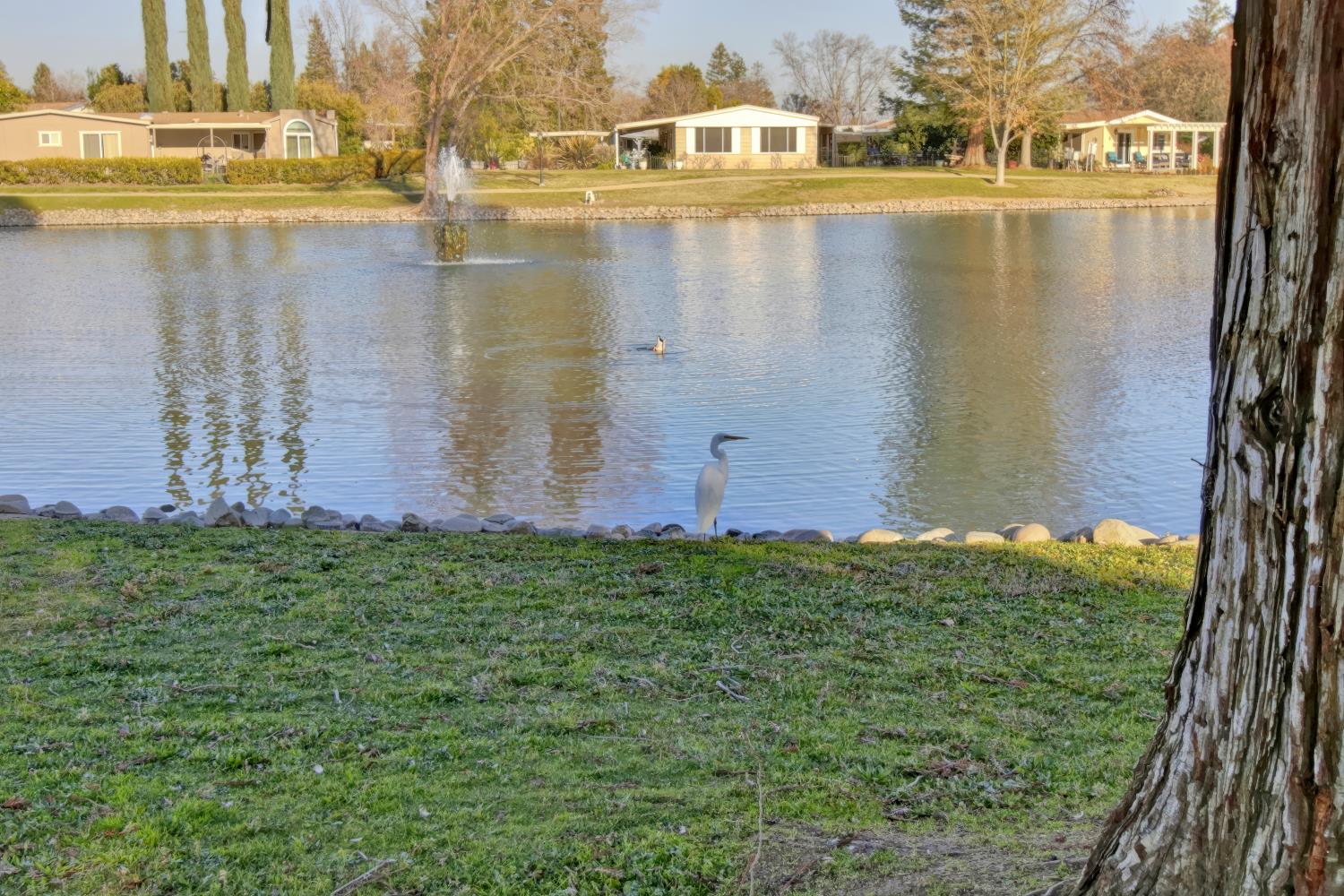 6637 Grosse Point Court