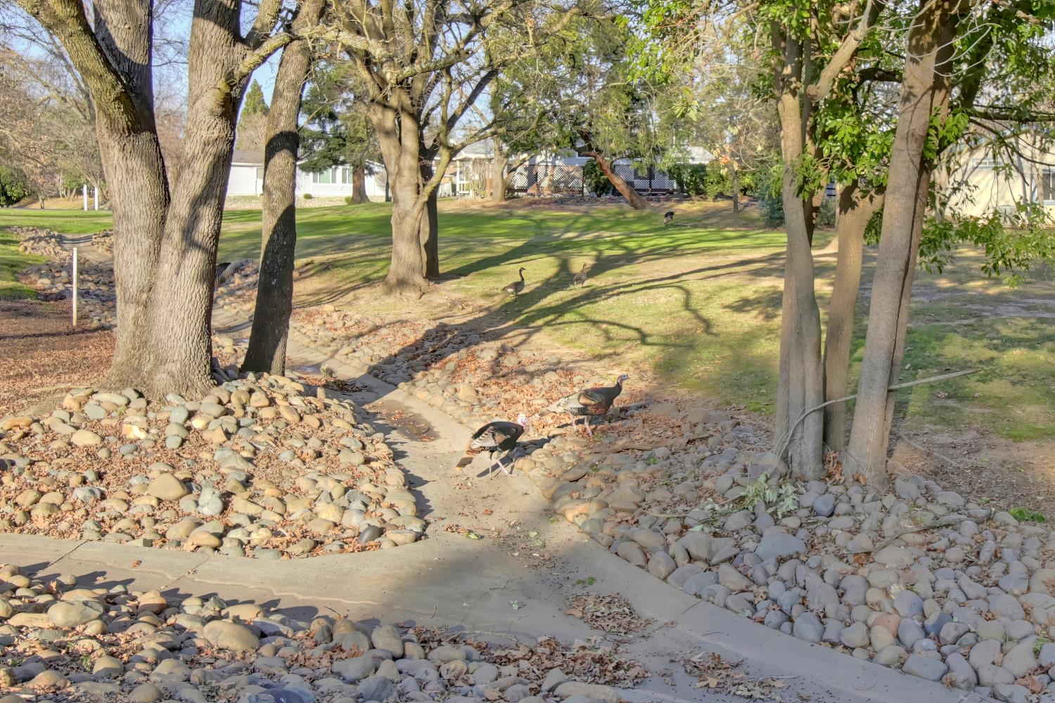 6637 Grosse Point Court