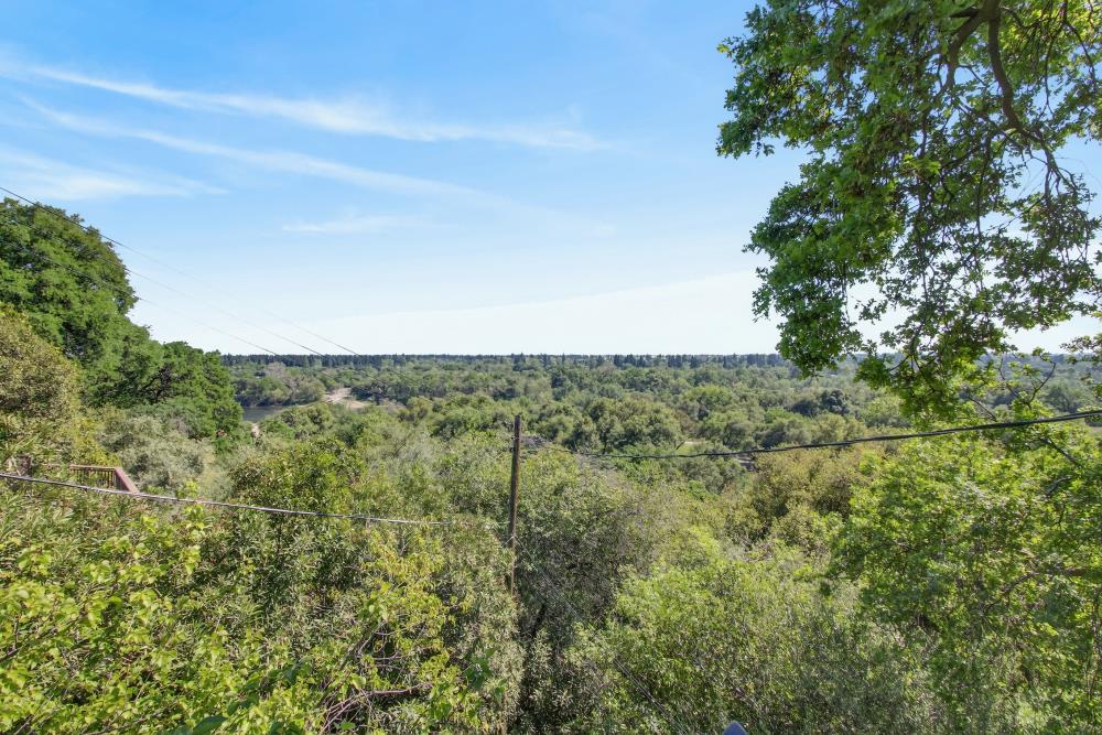 3937 Orangewood Drive