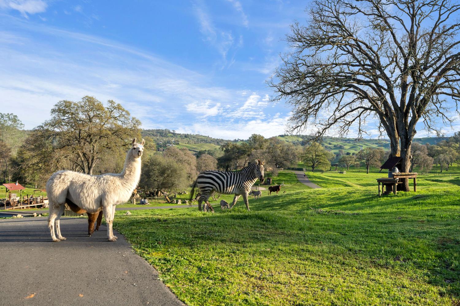 7270 Sutter Ione Road