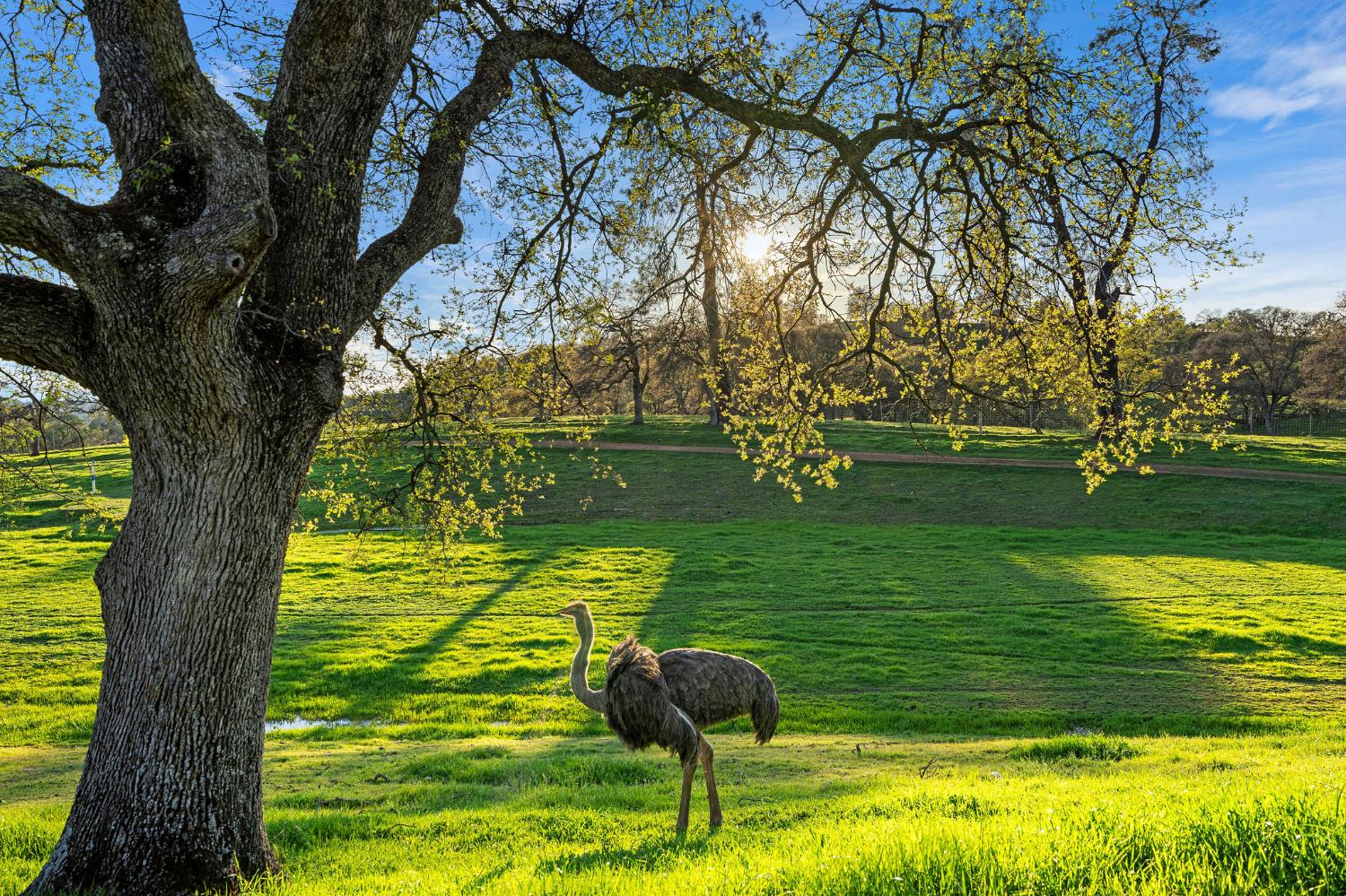 7270 Sutter Ione Road