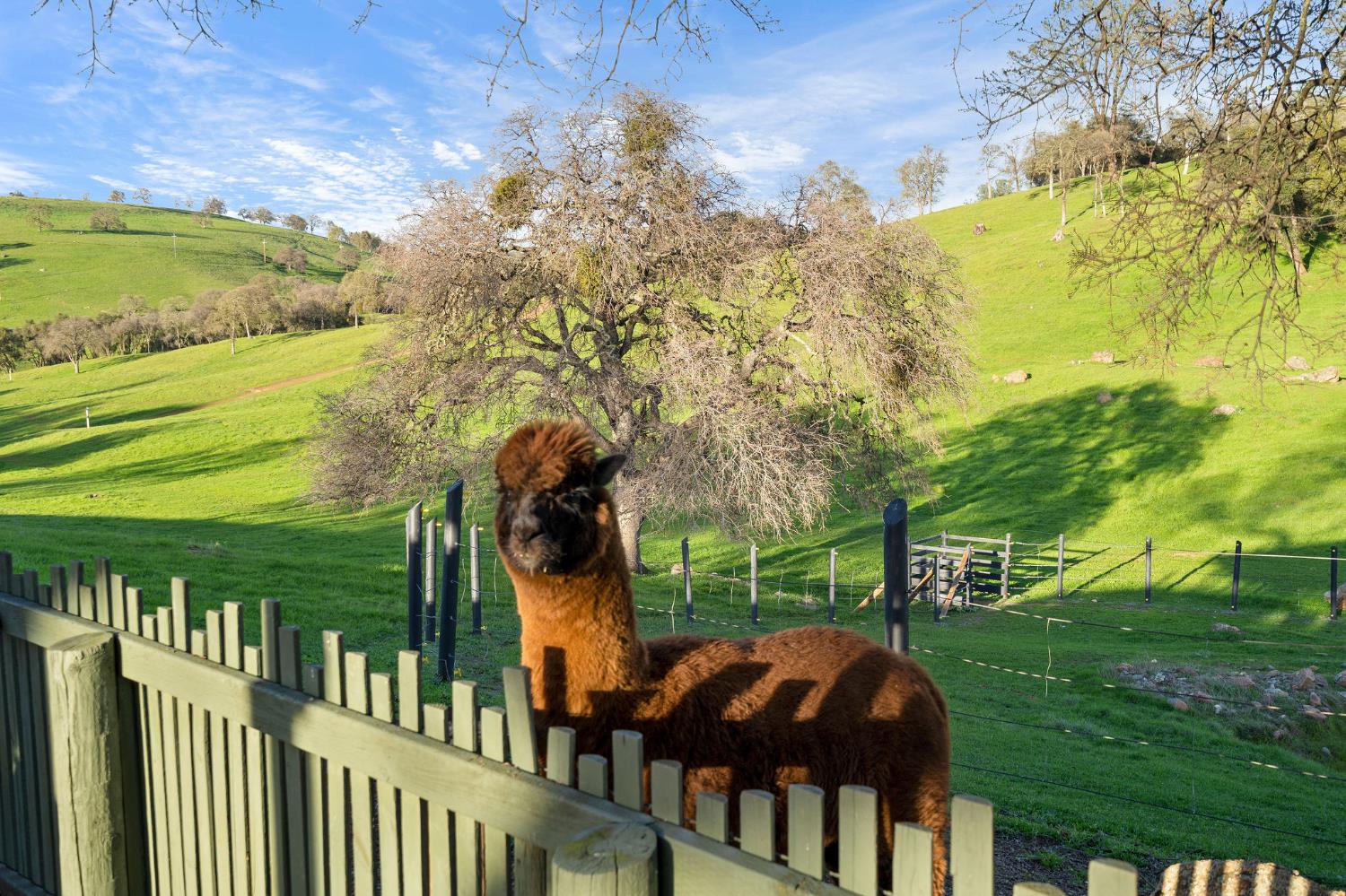 7270 Sutter Ione Road