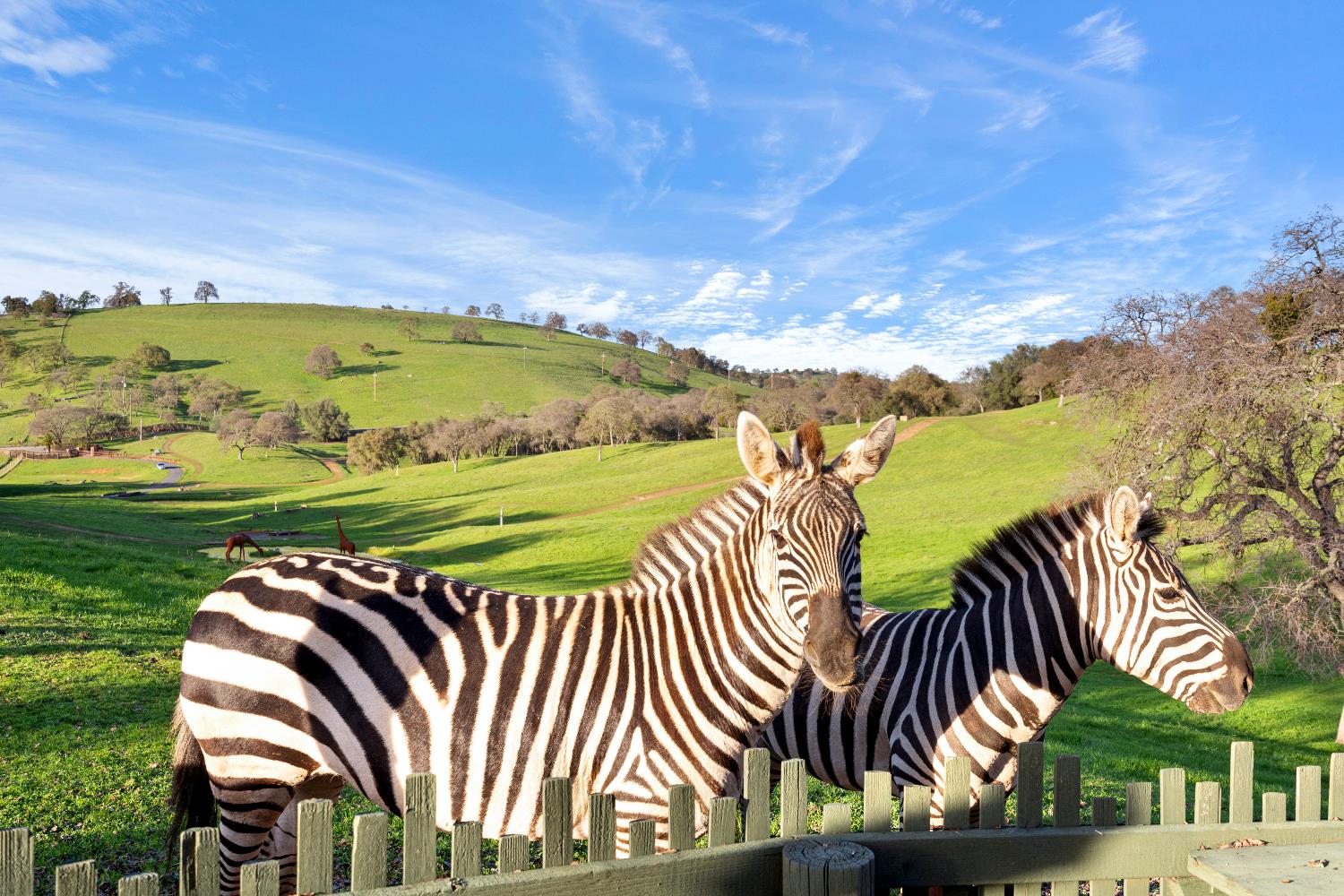 7270 Sutter Ione Road