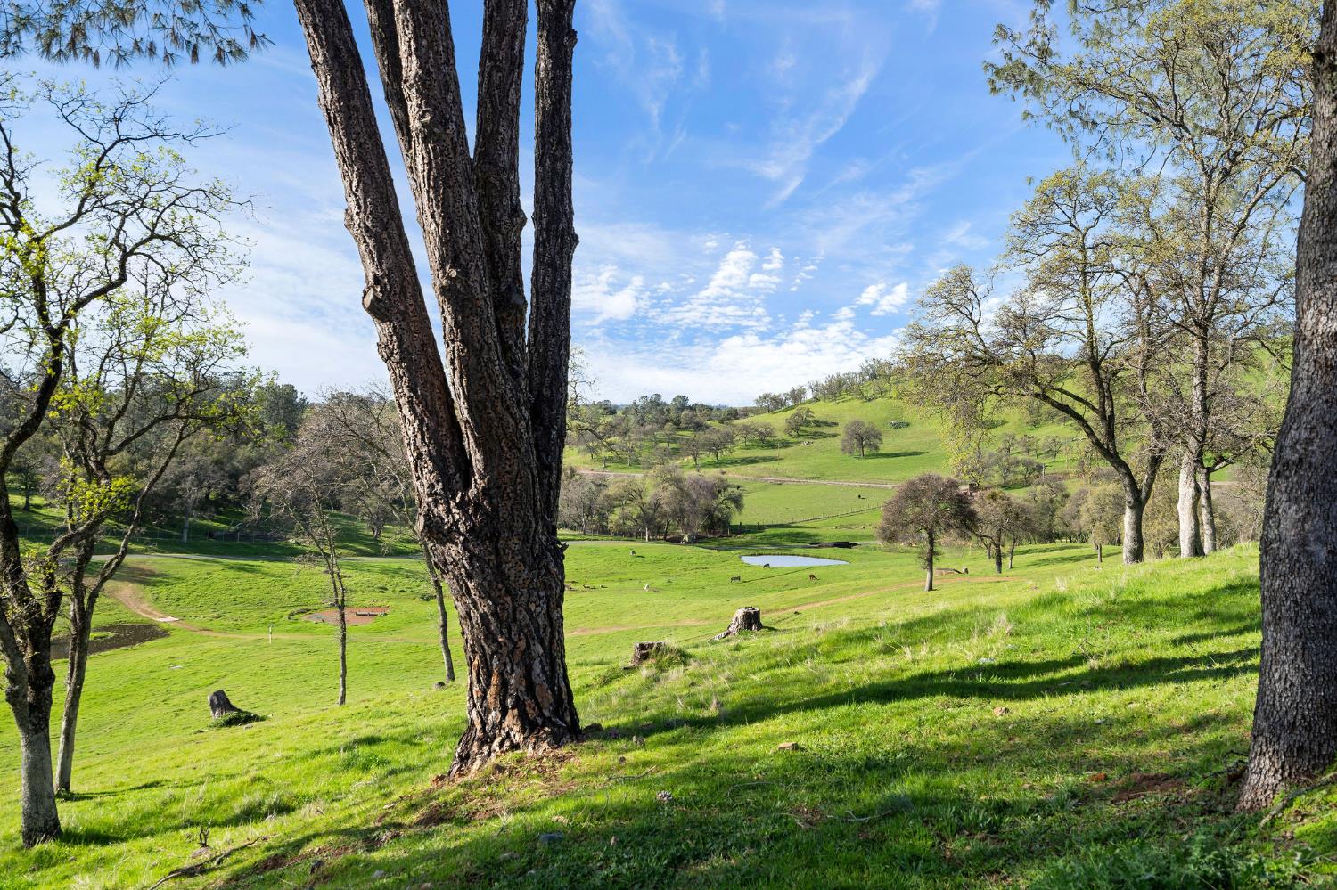 7270 Sutter Ione Road