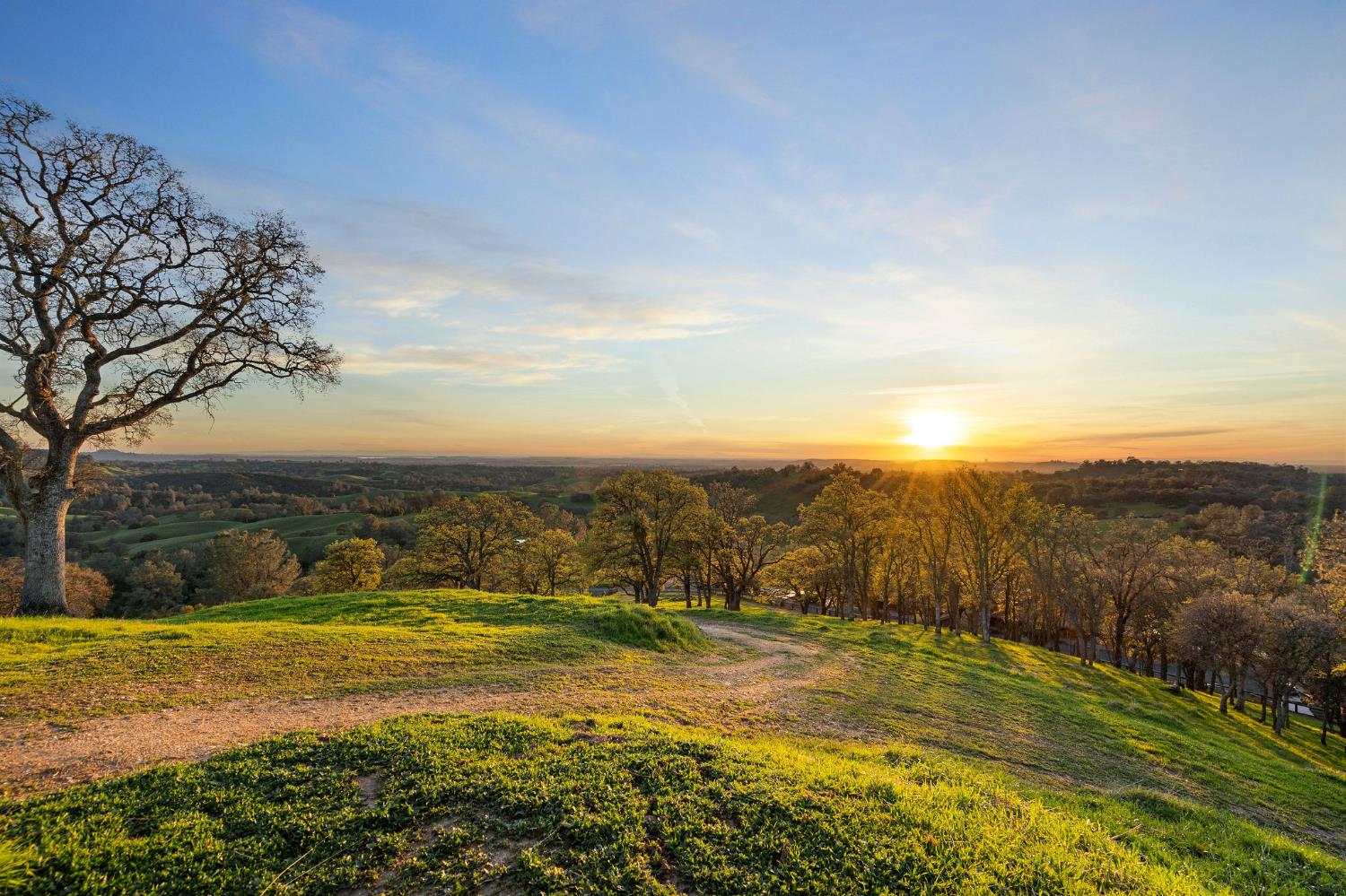 7270 Sutter Ione Road