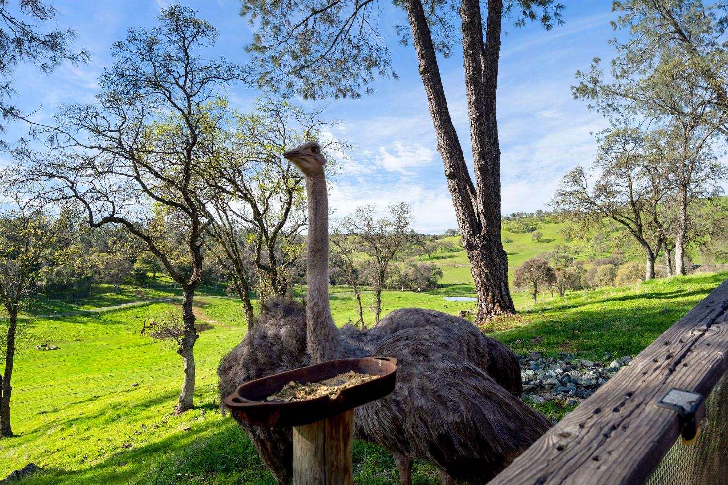 7270 Sutter Ione Road