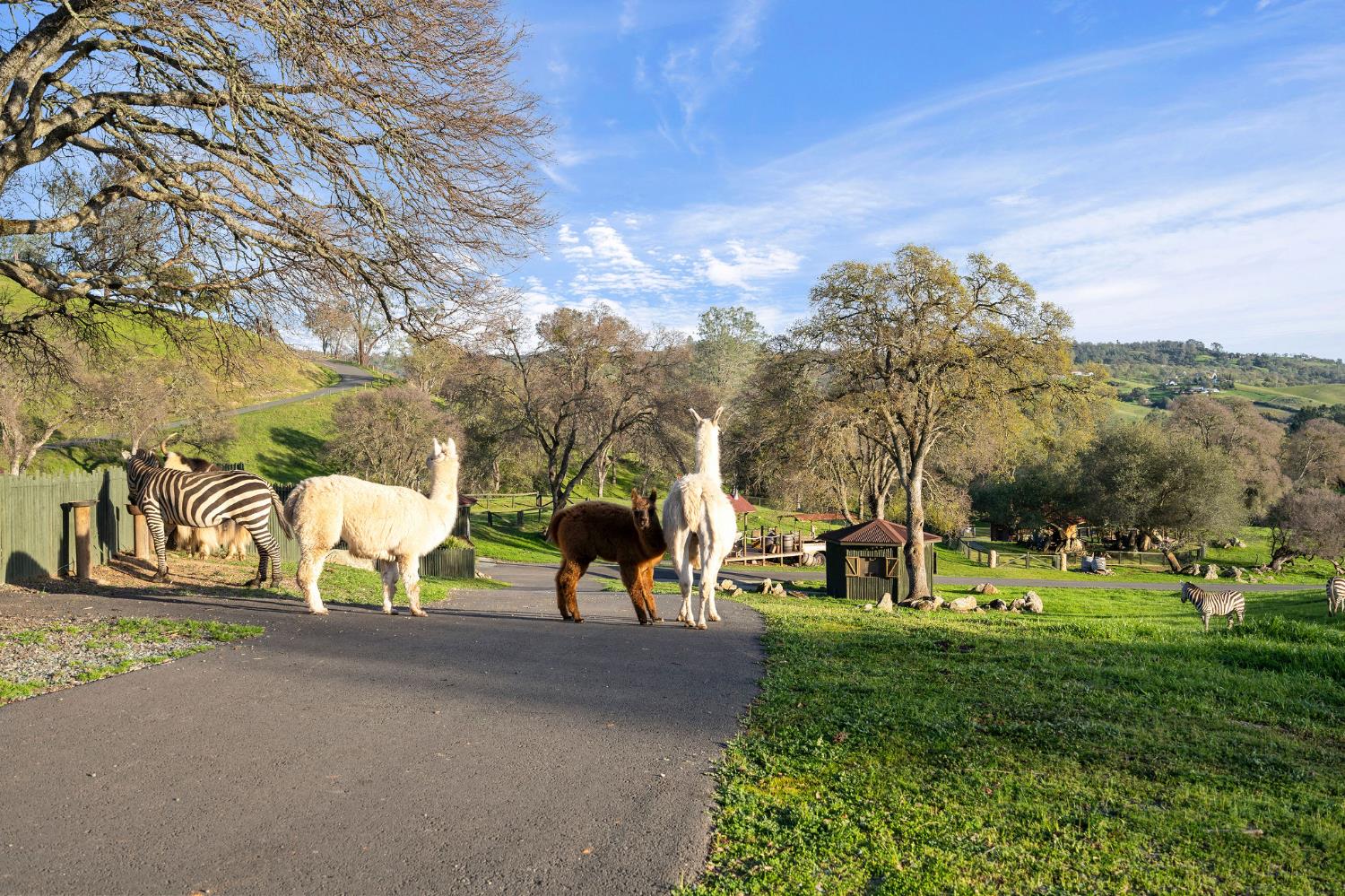 7270 Sutter Ione Road