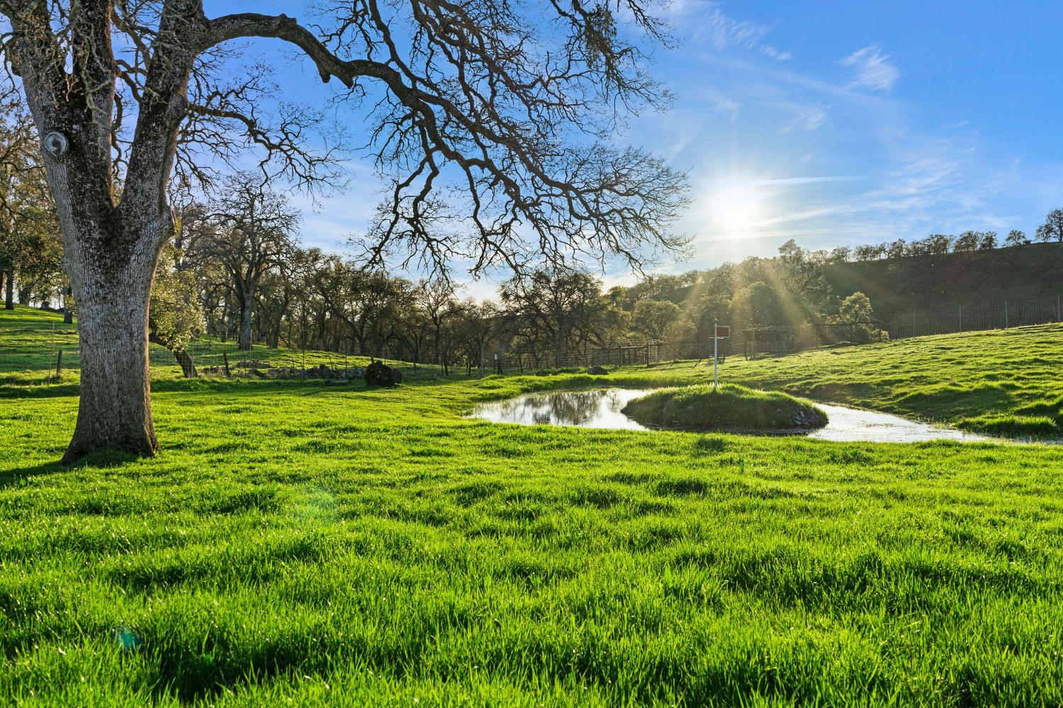 7270 Sutter Ione Road