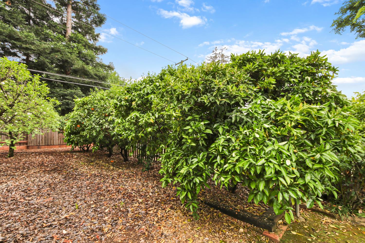 4720 Robertson Avenue