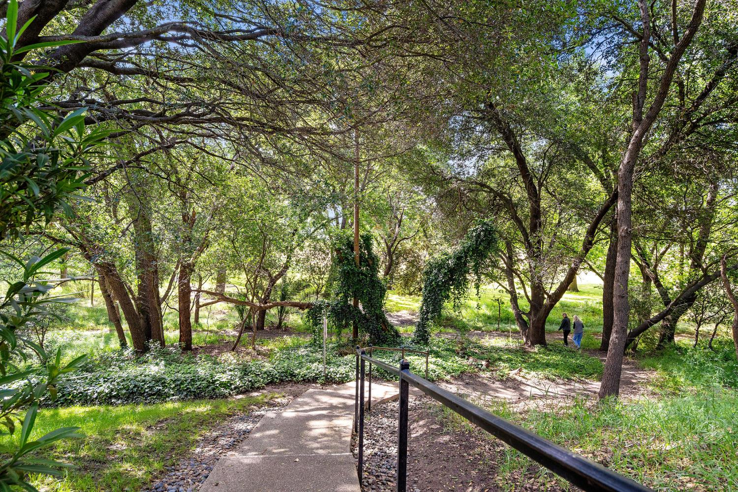 6401 Orange Hill Lane