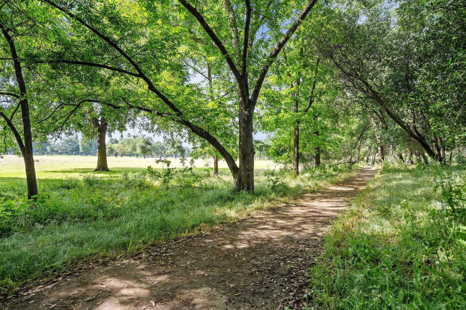 6401 Orange Hill Lane