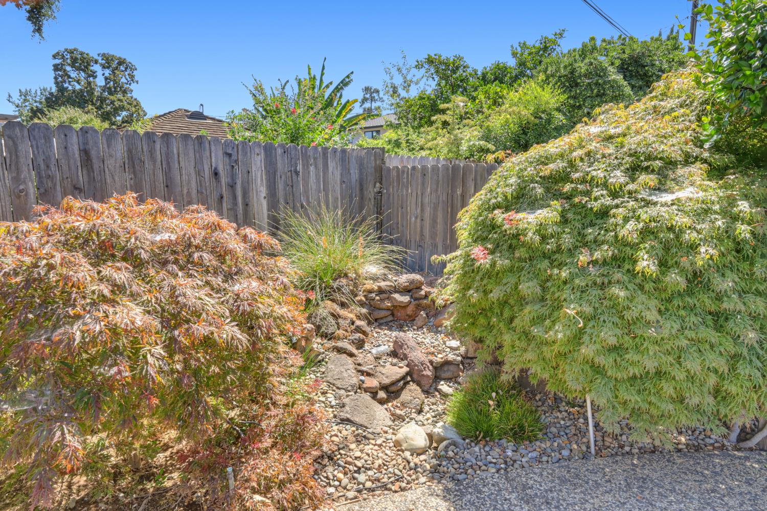 1294 Noonan Drive
