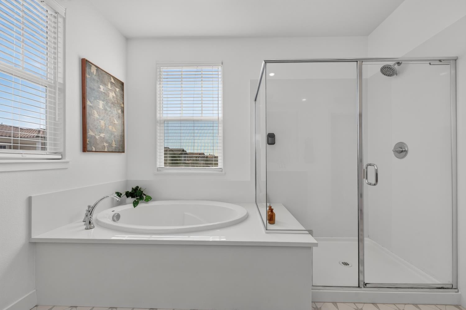 3608 Silver Pine Lane